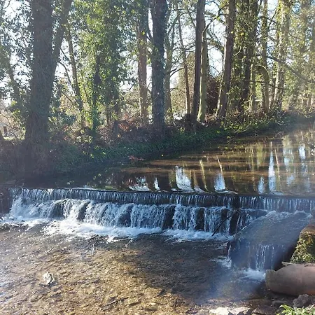 Сasa de vacaciones Squirrel