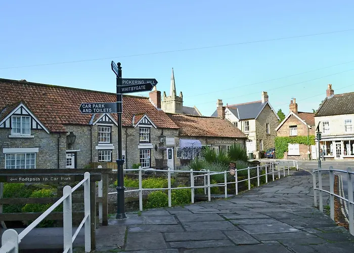 Squirrel Thornton Dale